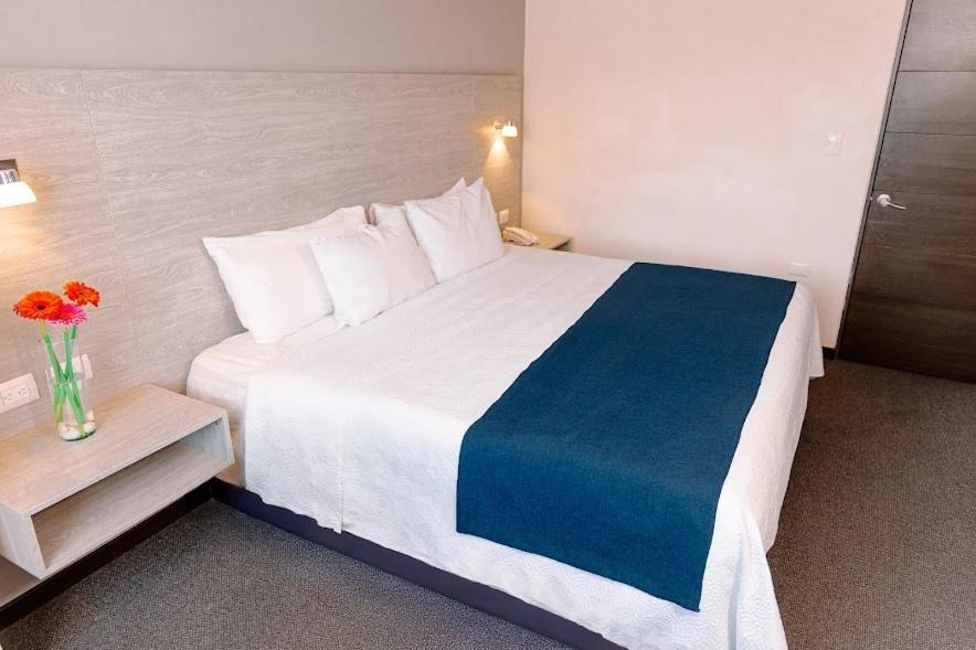 Kasa Hotel & Suites Irapuato Eksteriør billede